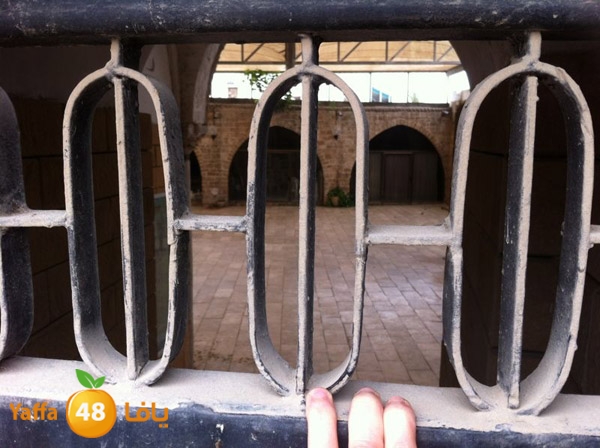 majdal3asqlan519 (5).JPG